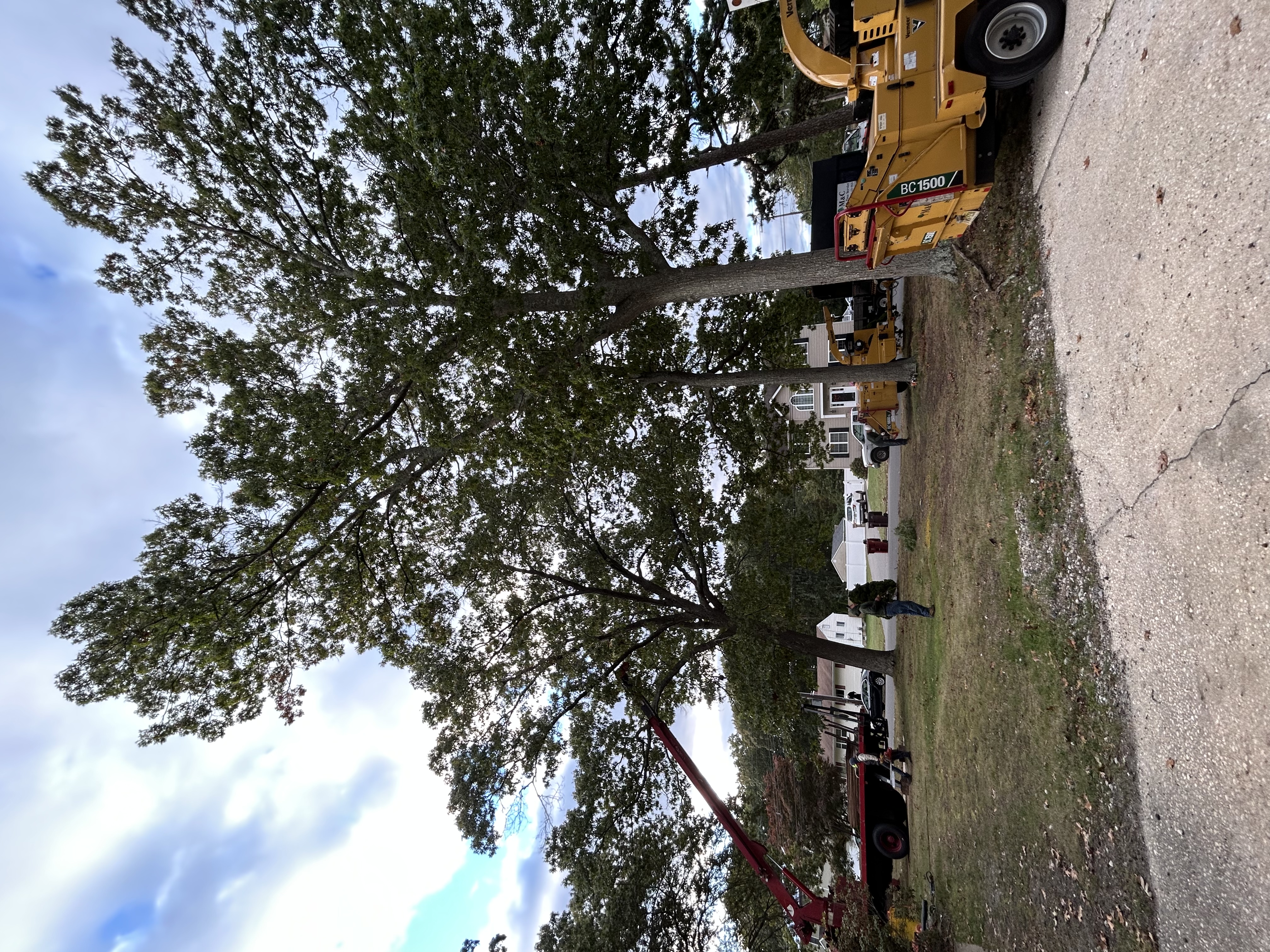 M&C Tree Service professional equipment