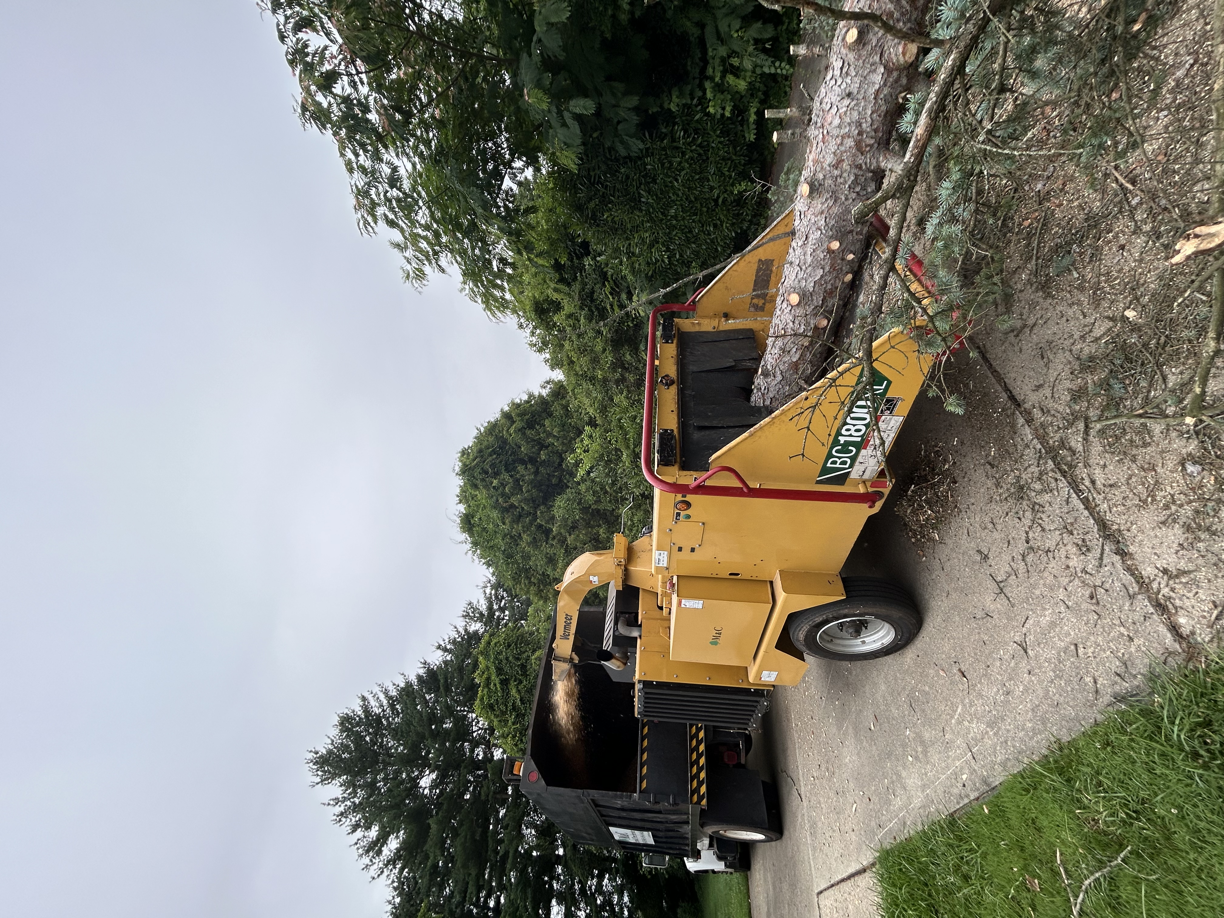 Professional Stump Grinder