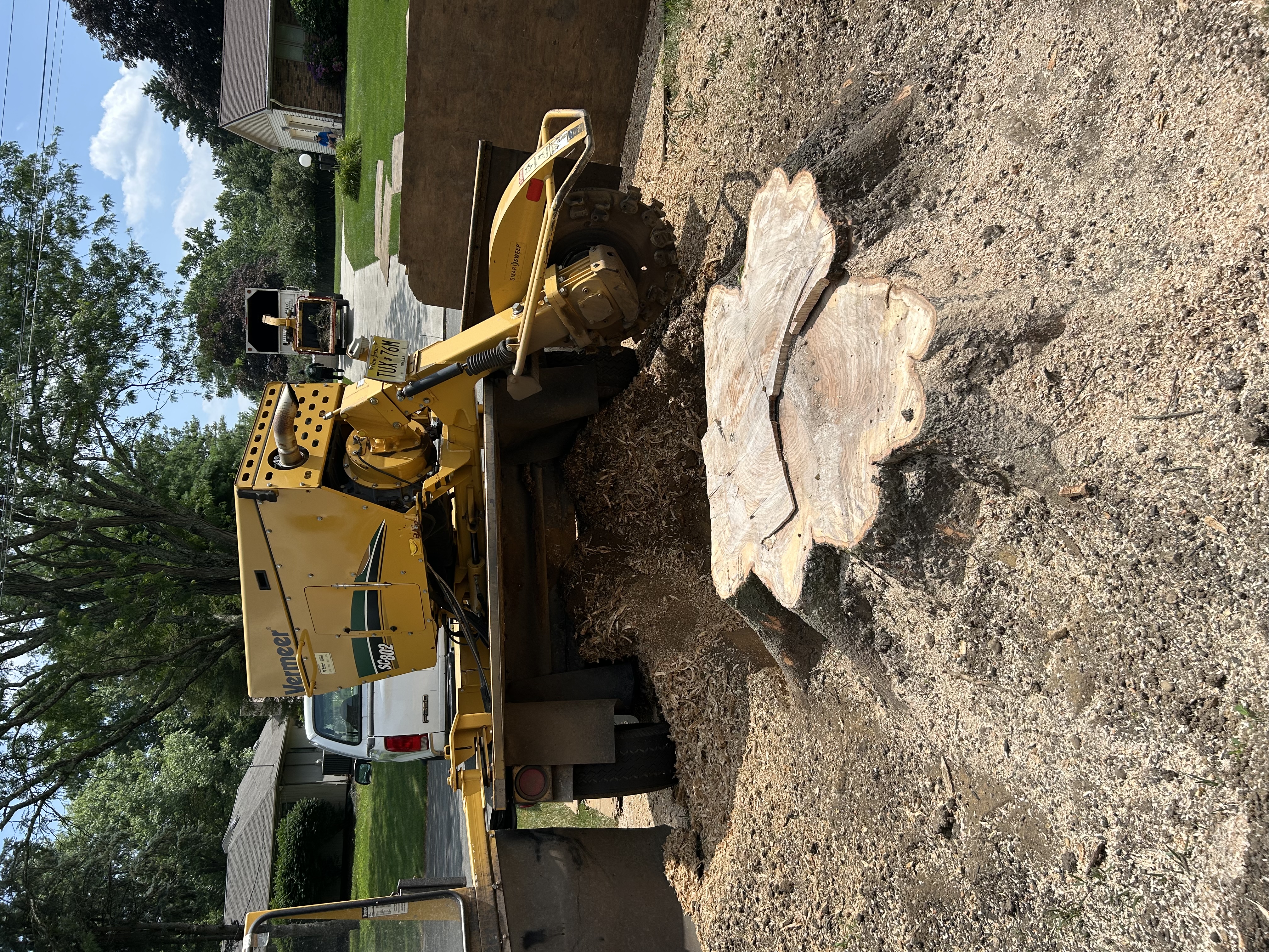 Large Stump Removal