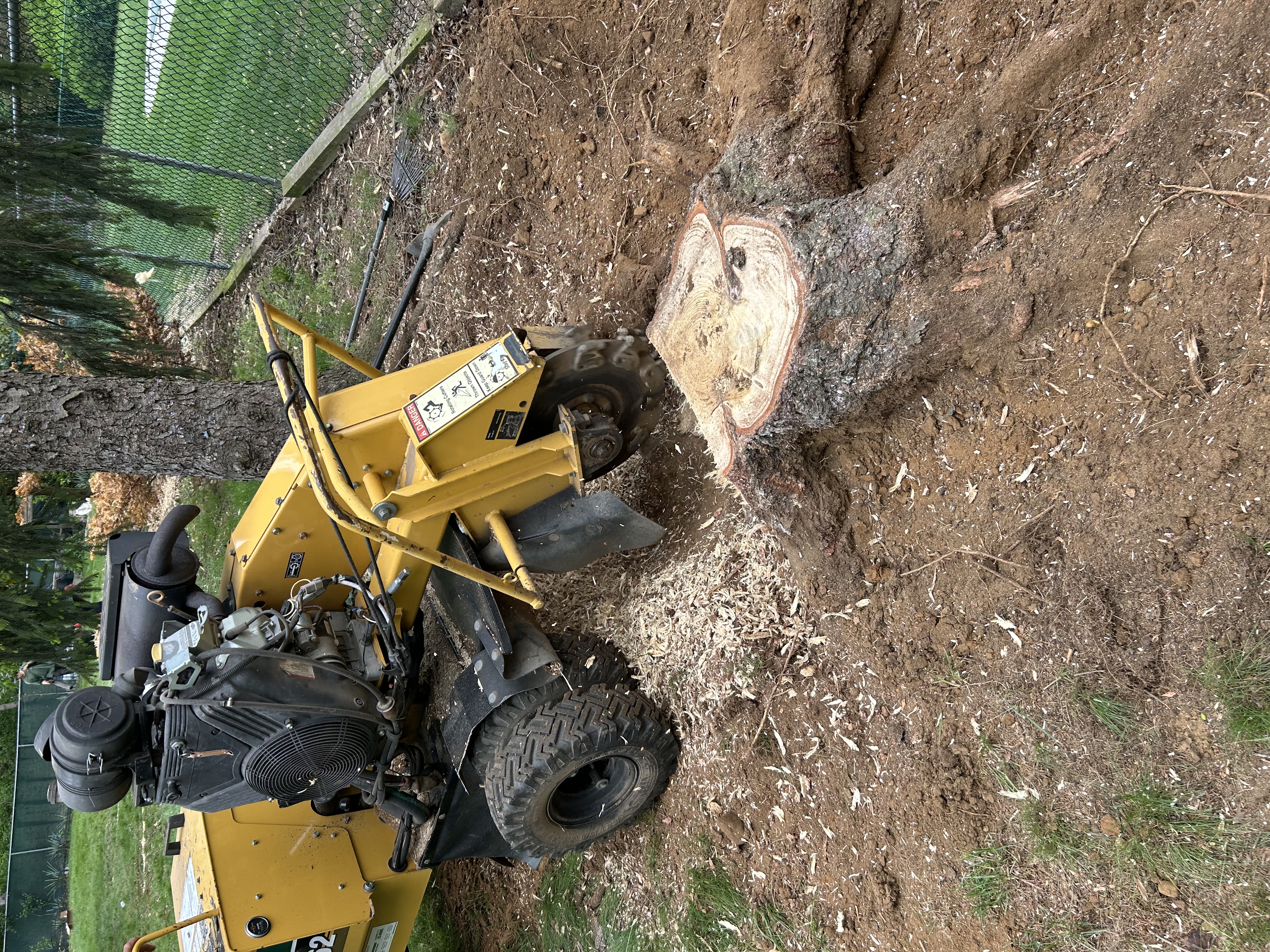 Stump Grinding